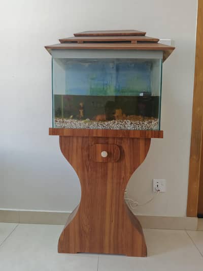 Fish Aquarium