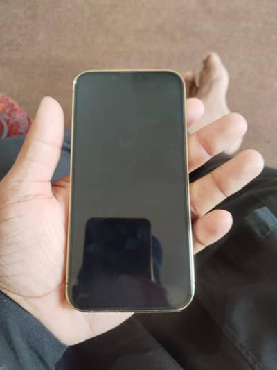 iphone 13 pro non-pta jv