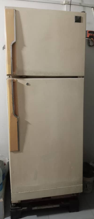 Gold Star medium size fridge