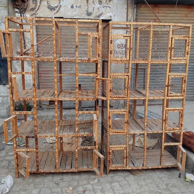 Birds Cage