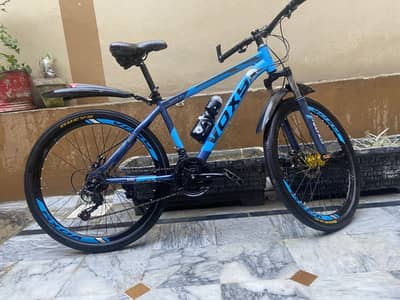 Voxy full size bicycle with 10 gears