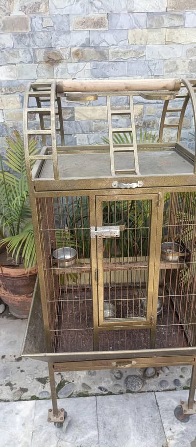 parrot cage