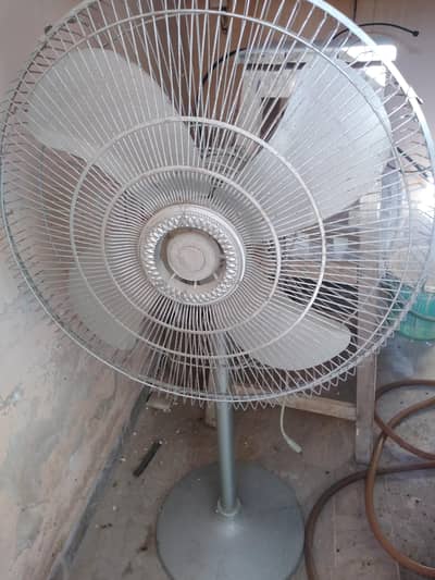 Pedestal Fan