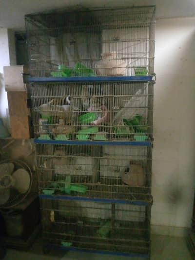 12 PORTION MASTER CAGE