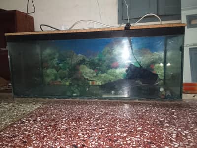 Aquarium 4.5 feet length and  2 feet width