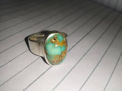 shajri hussaini feroza