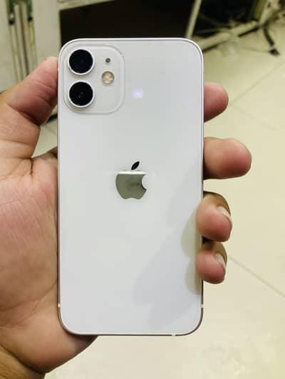 iPhone 12 mini non pta water pack