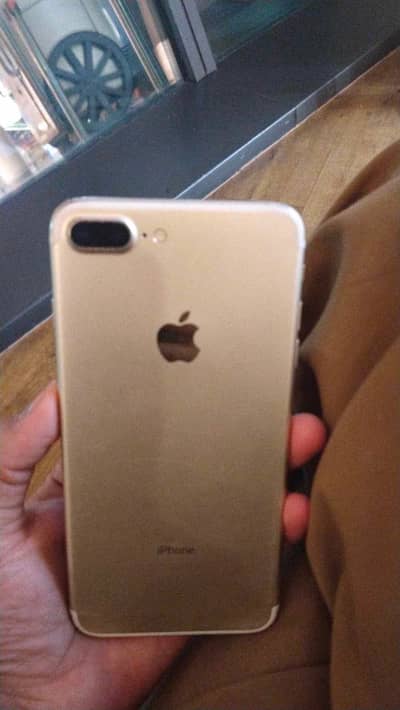 7 plus pata approved