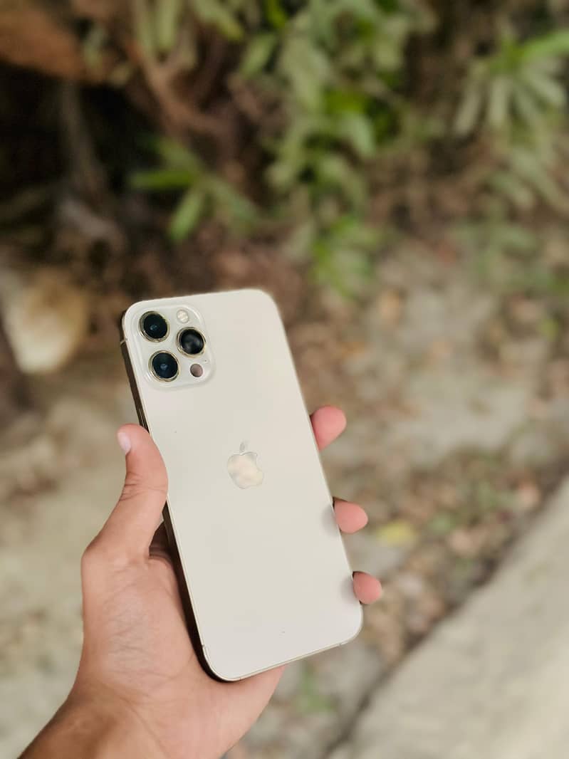 iPhone 12 pro max 10