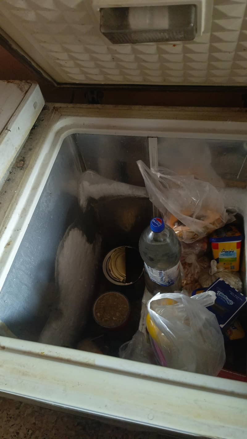 deep freezer 1