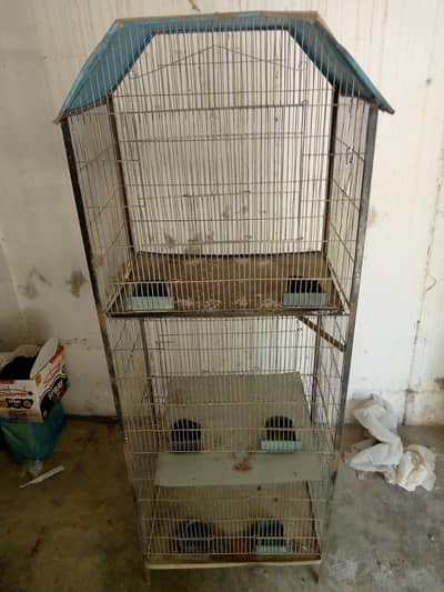 good cage hai condition 10/9