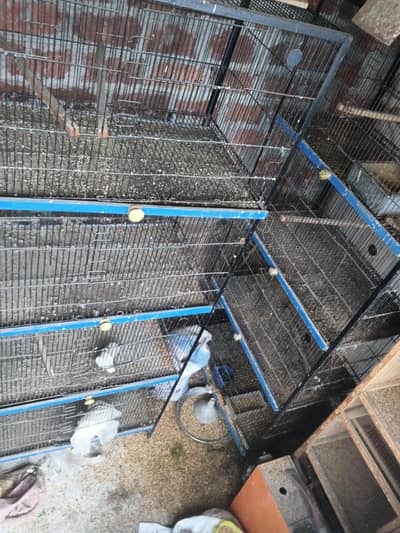 Birds cage for sale