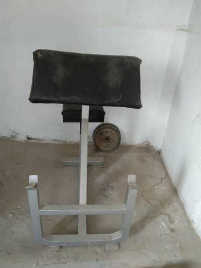 bicep curl 03188625510