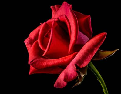 House for rent in Morgah More near Zeezan Bank