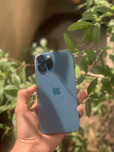 Iphone 12 pro max pta approved