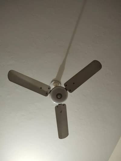 Lahore Fan 10/10 condition bilkul saaf condition