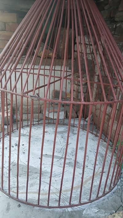 Larger cage    weighted