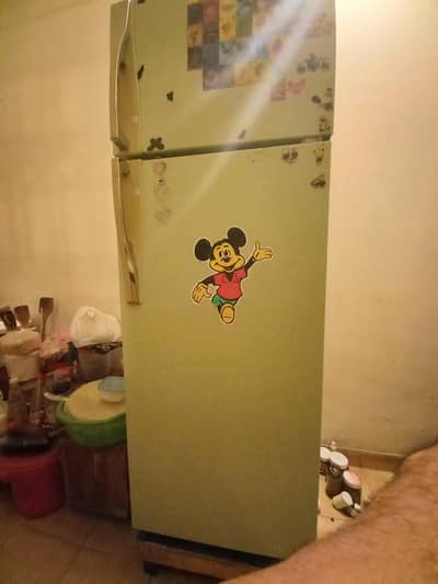 Singer- 15 ft Refrigerator