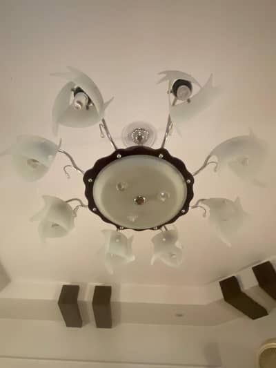 Chandelier (FANOOS) for Sale