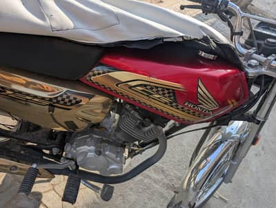 Honda 125 2025 gold edition