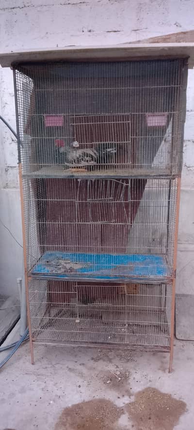 3 poshan cage argent for sale hi