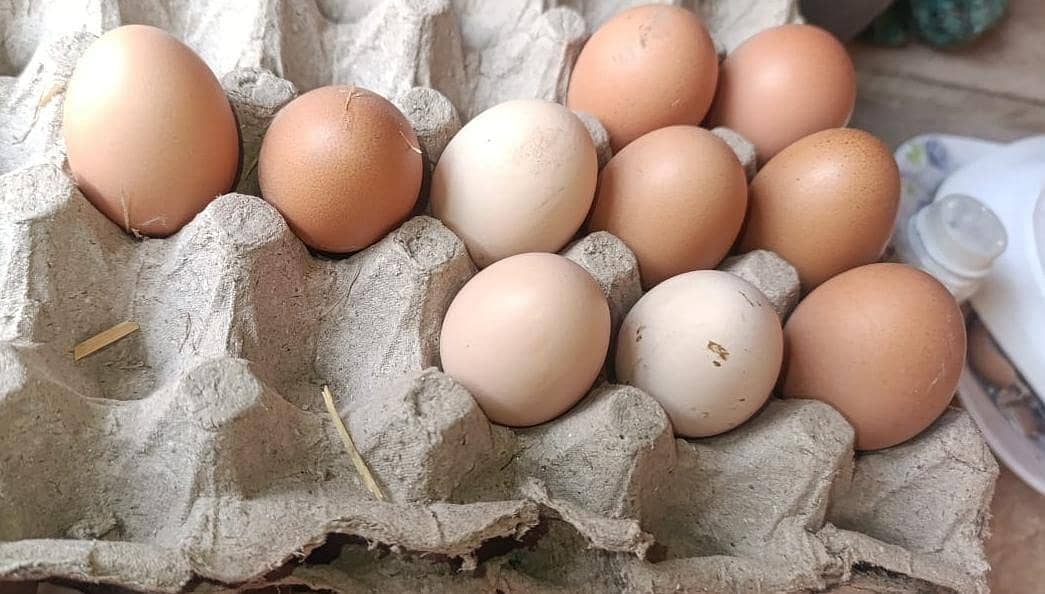 خالص دیسی گھر کے انڈے فار سیل ہیں 0