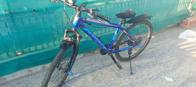 Caspian bicycle