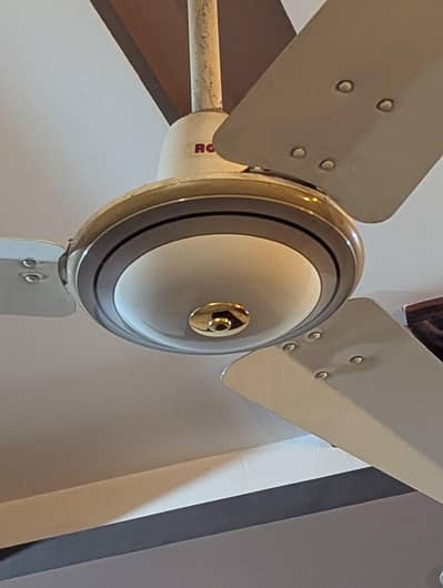 3 Royal Fans for sale in Rs20000
