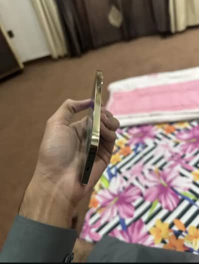 12  pro Pta Approved