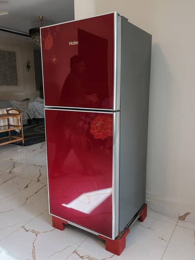 Haier 2 Door Refrigerator
