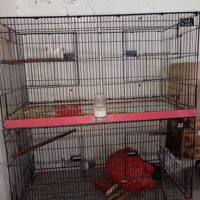 ali cage dubol partion