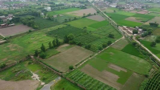 29 Kanal - Farming Land (Poultry/ Cattle)