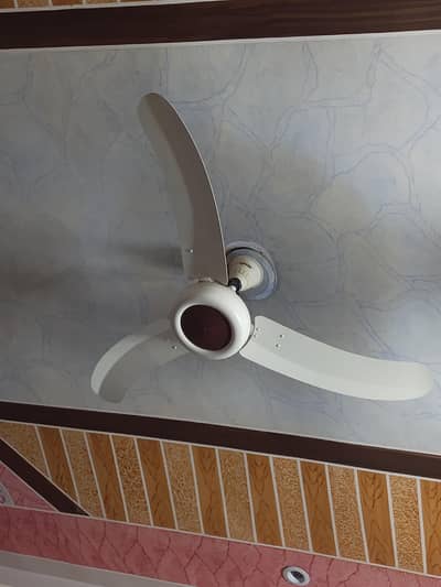 ROYAL CEILING FAN