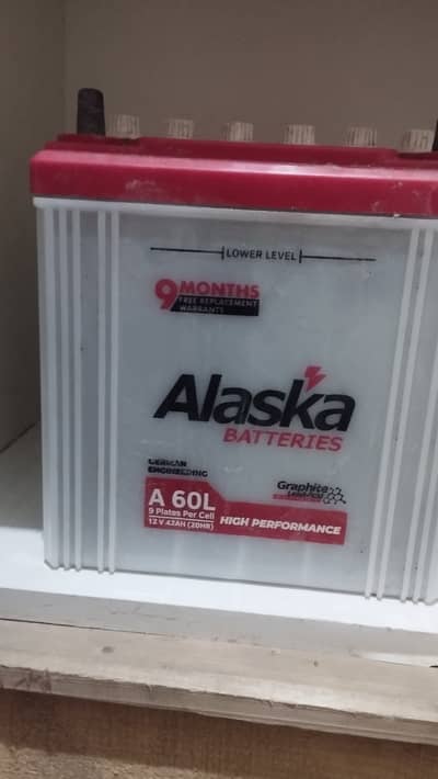 Alaska 42 Ampare 60 modle