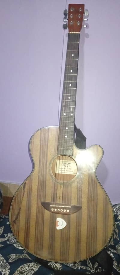 Coat C-41C Semi Acoustic Guitar