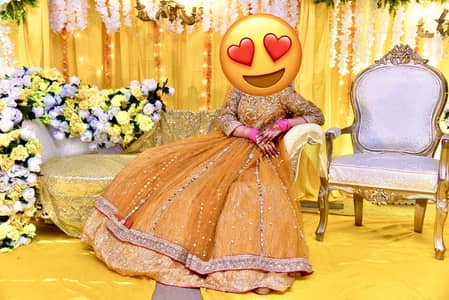Bridal dress/mehndi dress/mayon dress