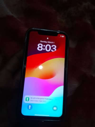 I phone XR