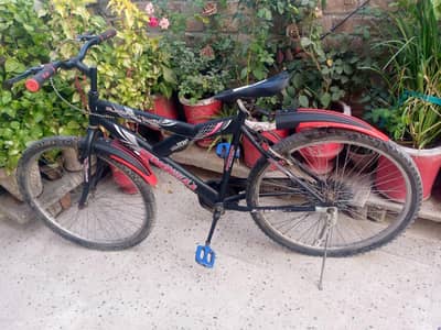 big size cycle for sale