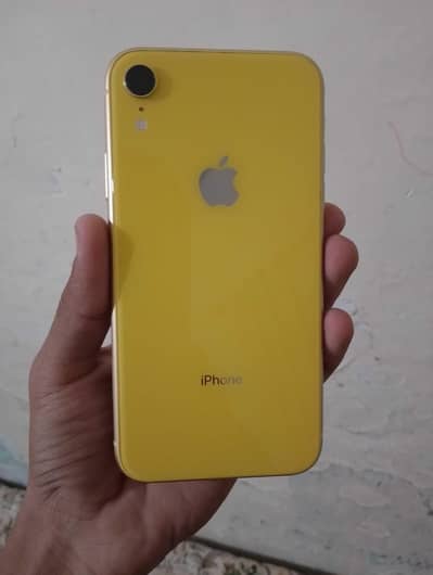 Iphone XR