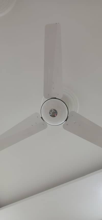 5 Lahore Fans for sale