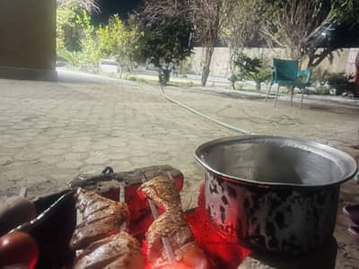 Cook required expert in BBQ and Soups