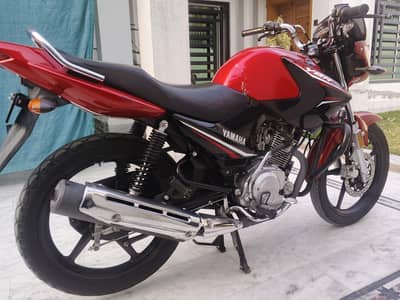 YBR 125 brand new condition