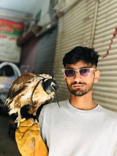 ok pic sa koi fald nhi hai