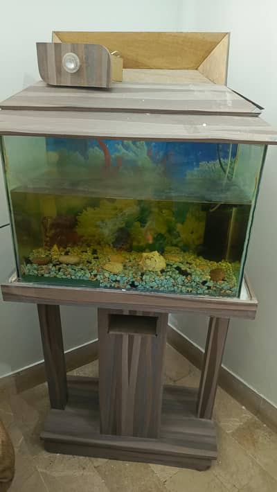 new wooden frame aquarium