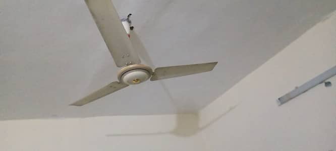 Best Brand celling Fans