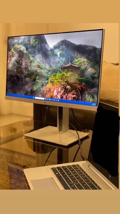 HP EliteDisplay E243 23.8" FHD Monitor