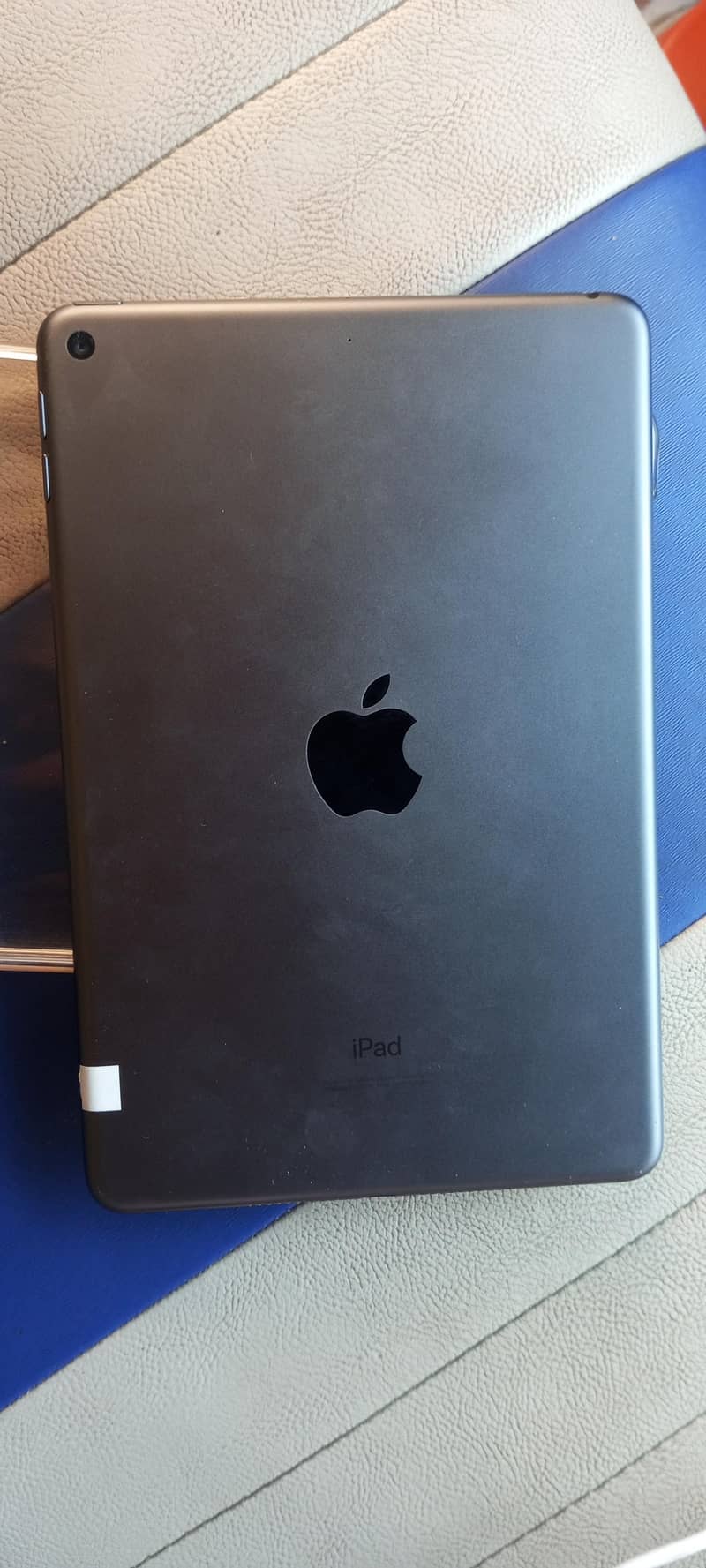 ipad mini 5 1