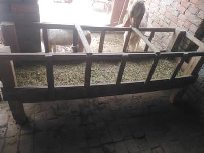 2 bakriyo wali khorlya for sale