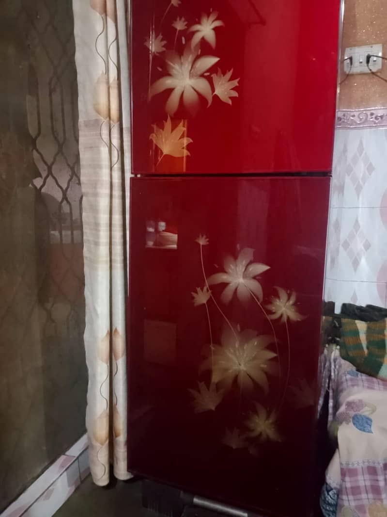 orient medium size 0