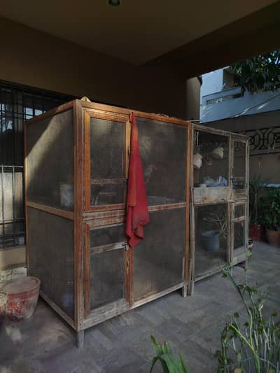 2 story cages for sale wooden